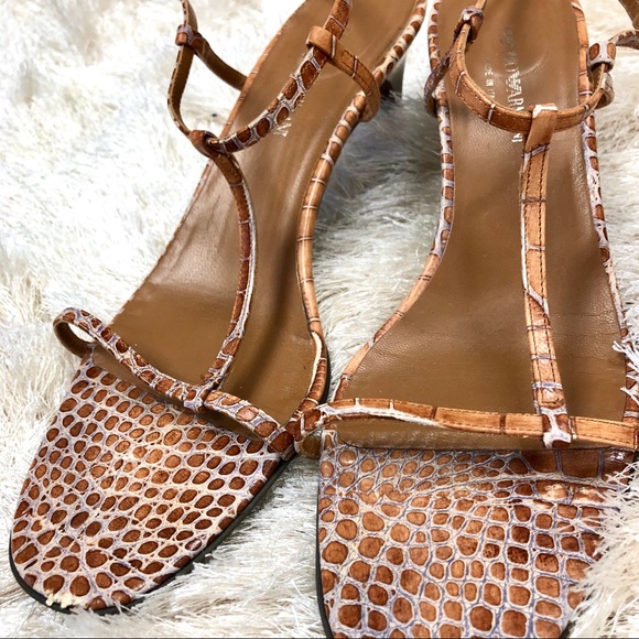 Emporium Armani Exotic Print Bombay Brown - Picture 5 of 7